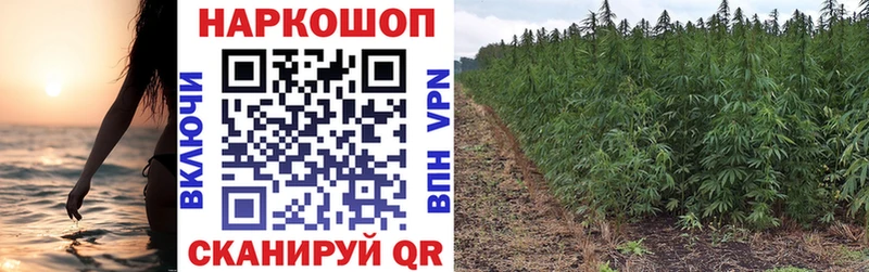Магазин наркотиков Невьянск Каннабис  ТГК  ГАШИШ  Alpha-PVP  Амфетамин 