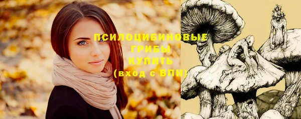 экстази Алзамай