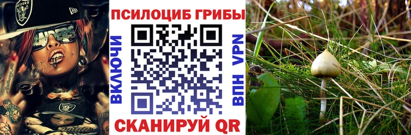 что такое наркотик  Невьянск  Галлюциногенные грибы MAGIC MUSHROOMS 